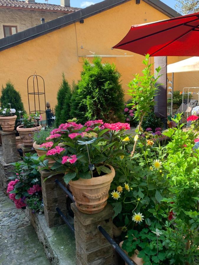 Ferienhaus, Rustico Auf Burg Локарно Экстерьер фото